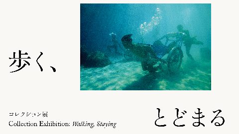 Collection Exhibition: Walking and Lingering | 21st Century Museum of Art, Kanazawa（出典ページの画像）